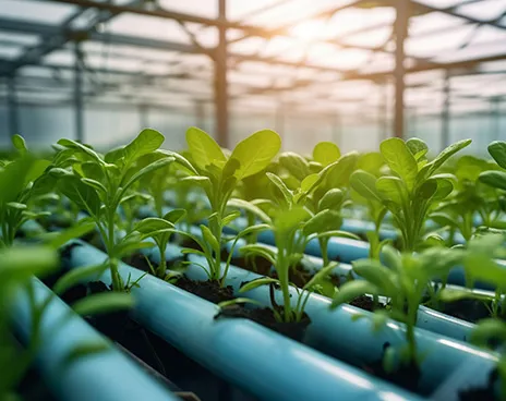 Smart Agriculture