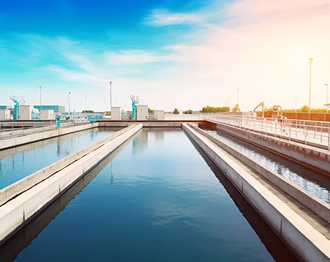 Water Plant