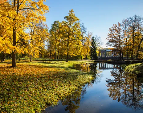 Urban parks