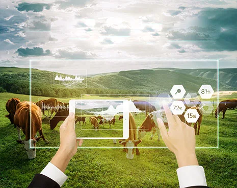 Smart Ranch