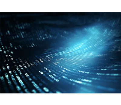 Embedded Software