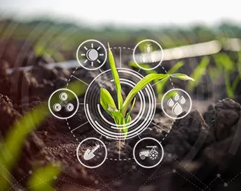 Smart Agriculture