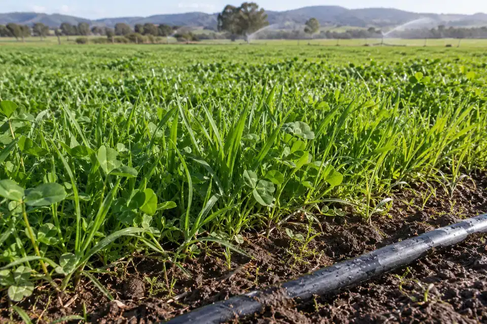 Forage & managed grass fields: illustrative soil-monitoring application environment