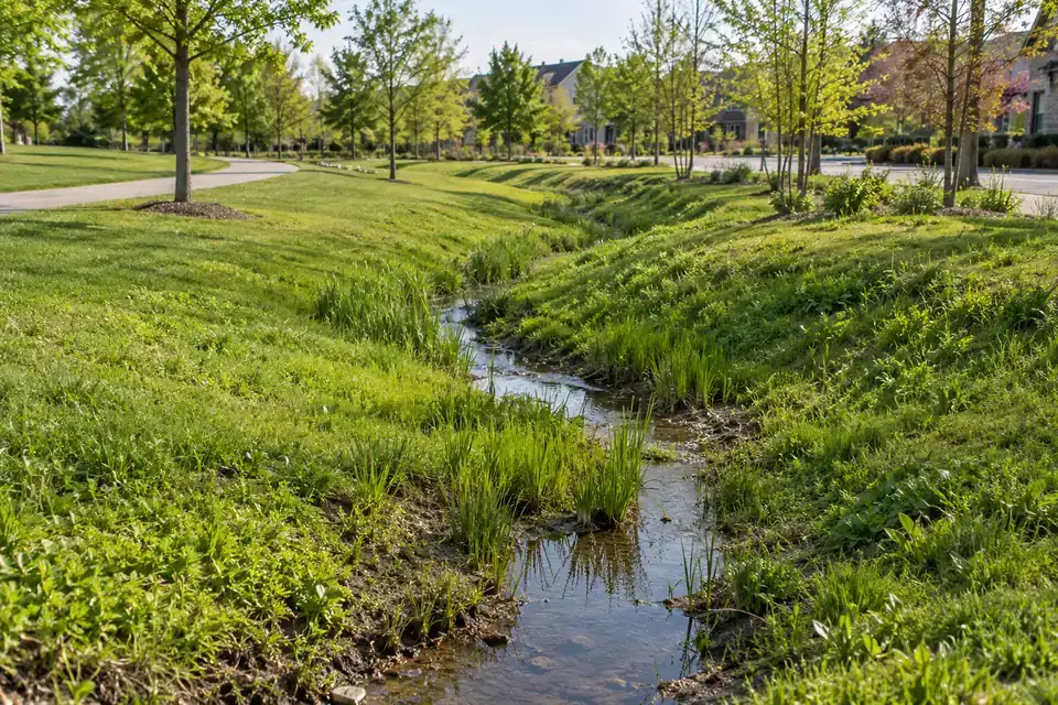 Long vegetated bioswale with grasses and shrubs beside a road and pedestrian path