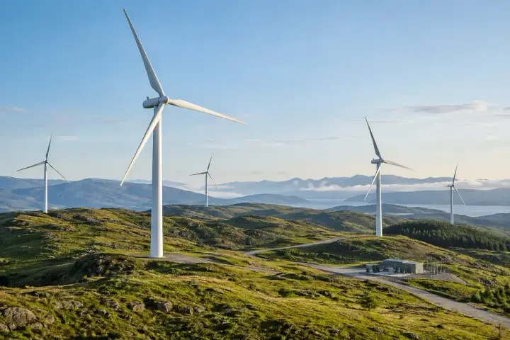 Wind turbines and service facilities in an open wind-farm landscape