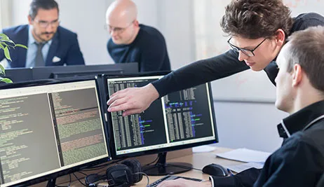 Software Customization