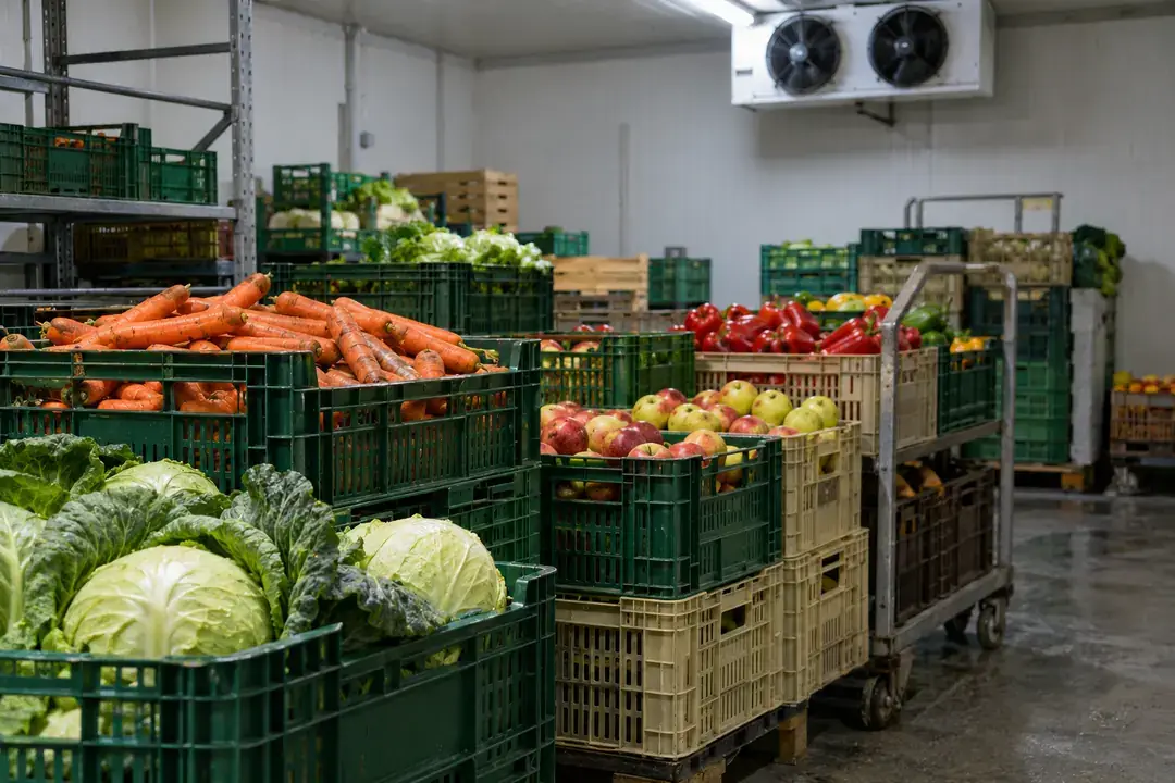 Vegetable and fruit crates in an indoor cool produce store.